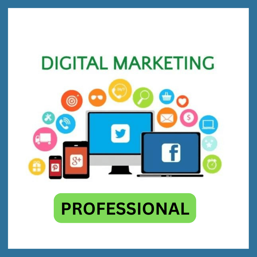 Digital Marketing Pro